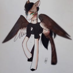 Size: 1080x1080 | Tagged: safe, artist:jonny_flex69, oc, oc only, species:pegasus, species:pony, g4, bust, clothing, ear piercing, jewelry, necklace, pegasus oc, piercing, raised hoof, signature, solo, traditional art, wings