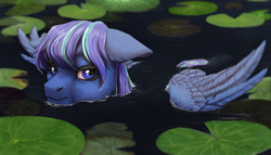 Size: 2800x1600 | Tagged: safe, artist:marinavermilion, oc, oc only, species:pegasus, species:pony, g4, lily pad, solo, water