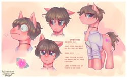 Size: 2360x1447 | Tagged: safe, artist:anpan_tama, oc, oc:hibiscus, species:earth pony, species:pony, g4, ashamed, blouse, blushing, earth pony oc, flower, hibiscus, reference sheet