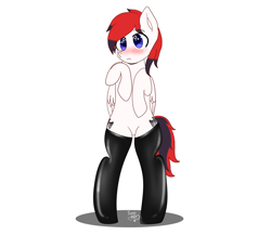 Size: 3000x2600 | Tagged: safe, artist:yumomochan, oc, oc:leopolt von richter, species:pegasus, species:pony, g4, bipedal, blushing, clothing, commission, femboy, latex, latex socks, male, oc name needed, pegasus oc, socks, stallion, wings, ych example, ych result, your character here