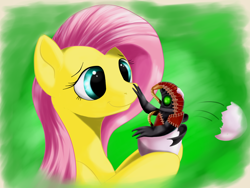 Size: 1600x1200 | Tagged: safe, artist:ac-whiteraven, character:fluttershy, species:pony, bioshock, bioshock infinite, female, green background, mare, simple background, solo, songbird