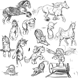 Size: 2000x2000 | Tagged: safe, artist:kvernikovskiy, species:pony, bipedal, cat, horse, sketch dump