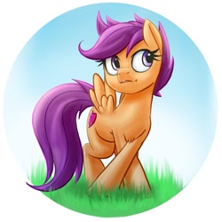 Size: 942x942 | Tagged: safe, artist:ikarooz, character:scootaloo, species:pegasus, species:pony, g4, solo