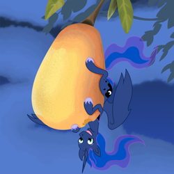 Size: 1000x1000 | Tagged: safe, artist:philith, character:princess luna, eating, female, food, fruit, herbivore, mango, micro, solo, stellaluna, suspended, tiny, upside down