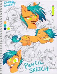 Size: 2550x3300 | Tagged: safe, artist:graystripe64, oc, oc only, oc:pencil sketch, species:earth pony, species:pony, expressions, female, freckles, mare, pillow, sleeping, solo