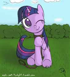 Size: 768x842 | Tagged: safe, artist:dennyhooves, character:twilight sparkle, collar, female, leash, pet, solo