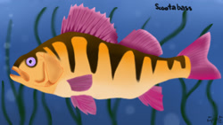 Size: 1920x1080 | Tagged: safe, artist:mrs-ponylicious, character:scootaloo, ambiguous gender, fish, fishified, scootabass, solo, species swap, underwater, yellow perch