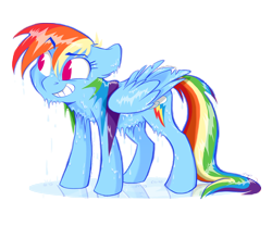 Size: 3300x2742 | Tagged: safe, artist:graystripe64, character:rainbow dash, species:pegasus, species:pony, cute, cutie mark, dashabetes, dripping, female, grin, reflection, simple background, smiling, solo, wet, wet mane, white background, wings