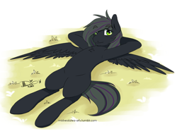 Size: 1280x989 | Tagged: safe, artist:mistresslutea, oc, oc only, oc:rome silvanus, species:pegasus, species:pony, lying down, male, multicolored hair, on back, simple background, solo, wings