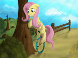 Size: 3200x2400 | Tagged: safe, artist:hereticalrants, character:fluttershy, high res, struggling, tree, unicycle