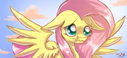 Size: 964x441 | Tagged: safe, artist:inky-pinkie, character:fluttershy, female, floppy ears, puppy dog eyes, solo