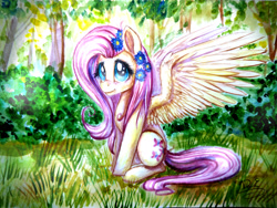 Size: 4608x3456 | Tagged: safe, artist:andyfirelife, character:fluttershy, absurd resolution, female, flower in hair, painting, sitting, solo, spread wings, traditional art, wings
