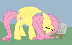 Size: 750x469 | Tagged: safe, artist:bux, character:angel bunny, character:fluttershy, crying, grave