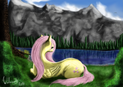 Size: 1793x1268 | Tagged: safe, artist:winternachts, character:fluttershy, calm, digital art, female, painting, solo, valley
