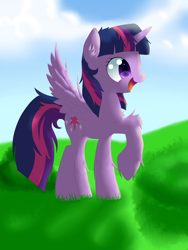 Size: 1944x2592 | Tagged: safe, artist:alexander56910, character:twilight sparkle, character:twilight sparkle (alicorn), species:alicorn, species:pony, day, female, happy, hill, sky, solo