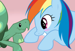 Size: 1450x1000 | Tagged: safe, artist:zigrock, character:rainbow dash, character:tank, blushing, cute, duo, looking at each other, nose wrinkle, pink background, pixiv, profile, simple background, smiling