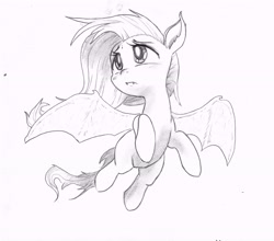 Size: 5584x4912 | Tagged: safe, artist:cross_ornstein, character:flutterbat, character:fluttershy, species:bat pony, species:pony, absurd resolution, cute, female, grayscale, monochrome, pencil drawing, race swap, shyabates, shyabetes, solo, traditional art