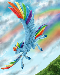 Size: 1024x1280 | Tagged: safe, artist:biakela, character:rainbow dash, big wings, colored wings, female, fluffy, flying, grin, multicolored wings, rainbow feathers, solo, spread wings, unshorn fetlocks, wings