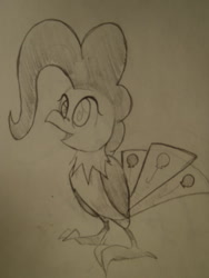 Size: 804x1072 | Tagged: safe, artist:matugi, character:pinkie pie, species:bird, birdified, female, grayscale, monochrome, simple background, solo, species swap, traditional art