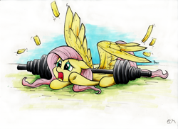 Size: 2000x1455 | Tagged: safe, artist:ecmonkey, character:fluttershy, species:pegasus, species:pony, barbell, feather, female, floppy ears, mare, open mouth, pinned, pinned down, prone, solo, spread wings, three quarter view, weights, wings, yelling