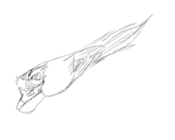 Size: 5000x4000 | Tagged: safe, artist:bravefleet, oc, oc only, oc:brave fleet, birb, fast, flying, flying fast, nose dive, old, sketch, solo, speed, tail feathers, wings