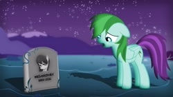Size: 1920x1080 | Tagged: safe, artist:ryuuichi-shasame, artist:szinthom, edit, oc, oc only, oc:melodicpony, oc:rico, crying, feels, gravestone, implied death, melodicpony, musician, night, rest in peace, sad, solo, tribute