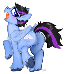Size: 879x1000 | Tagged: safe, alternate version, artist:deep mystery, oc, oc only, oc:glacier wind, species:pegasus, species:pony, background removed, blushing, commission, featureless crotch, male, solo, stallion, underhoof, unshorn fetlocks, wingding eyes, ych result