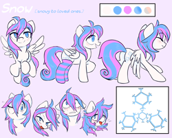 Size: 3130x2511 | Tagged: safe, artist:deep mystery, oc, oc only, oc:snow, species:pegasus, species:pony, blushing, clothing, cutie mark, eyeshadow, femboy, floppy ears, flying, heart eyes, makeup, male, one eye closed, open mouth, plot, reference sheet, socks, spread legs, spread wings, spreading, stallion, stockings, stretching, striped socks, trap, wingding eyes, wings, wink