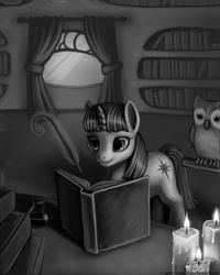 Size: 800x1000 | Tagged: dead source, safe, artist:laurenmagpie, character:owlowiscious, character:twilight sparkle, character:twilight sparkle (unicorn), species:pony, species:unicorn, book, candle, feather, female, golden oaks library, library, mare, monochrome, pen, photoshop, quill