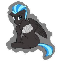 Size: 854x849 | Tagged: safe, artist:wcnimbus, oc, oc only, oc:nimbus, species:pegasus, species:pony, amputee, bandage, colored sketch, male, missing limb, missing wing, sad, solo, stallion