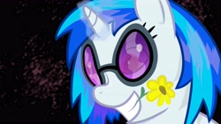 Size: 4859x2733 | Tagged: safe, artist:minimoose772, character:dj pon-3, character:vinyl scratch, species:pony, species:unicorn, female, flower, flower in mouth, glowing horn, mare, mouth hold, photoshop, solo, sunglasses, wallpaper