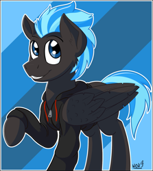 Size: 1491x1671 | Tagged: safe, artist:wcnimbus, oc, oc only, oc:nimbus, species:pegasus, species:pony, abstract background, clothing, hoodie, male, smiling, solo, stallion