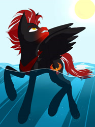 Size: 2076x2781 | Tagged: safe, artist:twigpony, oc, oc only, species:pegasus, species:pony, commission, freckles, looking back, looking up, male, solo, stallion, sun, swimming, water, ych result
