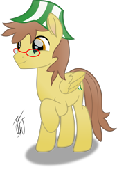 Size: 2111x3127 | Tagged: safe, artist:mlp-scribbles, oc, oc only, oc:ferb fletcher, species:pegasus, species:pony, high res, male, movie accurate, simple background, transparent background