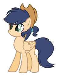 Size: 526x668 | Tagged: safe, artist:theapplebeauty, oc, oc only, parent:applejack, parent:soarin', parents:soarinjack, species:pegasus, species:pony, clothing, female, hat, mare, offspring, simple background, solo, transparent background