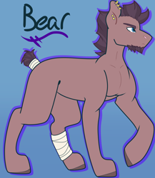 Size: 3120x3600 | Tagged: safe, artist:midnight-drip, oc, oc only, oc:bear jam, parent:night guard, parent:pinkie pie, species:earth pony, species:pony, high res, male, offspring, solo, stallion