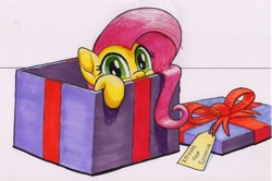 Size: 3434x2276 | Tagged: safe, artist:bbqninja501st, character:fluttershy, species:pegasus, species:pony, advent calendar, box, cute, dawwww, female, hnnng, looking at you, mare, peeking, pony in a box, present, shyabetes, solo, traditional art