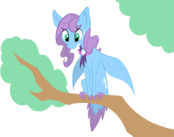Size: 1023x809 | Tagged: safe, artist:agentkirin, character:saddle rager, oc, oc only, oc:feather fluff, species:pony, episode:power ponies, g4, my little pony: friendship is magic, colored hooves, female, hippalectryon, perching, simple background, solo, sweat, sweatdrop, transparent background, tree, tree branch