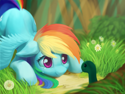 Size: 2397x1795 | Tagged: safe, artist:draconidsmxz, character:rainbow dash, character:tank, species:pegasus, species:pony, bending, crying, cute, dandelion, dashabetes, female, mare, reunion, smiling, spread wings, spring, tears of joy, turtle, wings