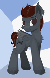 Size: 972x1500 | Tagged: safe, artist:rhythmpixel, oc, oc only, species:pegasus, species:pony, abstract background, chest fluff, colored hooves, cutie mark, ear fluff, hoof fluff, hooves, lineless, male, smiling, solo, stallion, wings