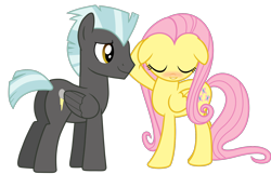 Size: 1550x1000 | Tagged: safe, artist:luuandherdraws, character:fluttershy, character:thunderlane, ship:thundershy, blushing, female, male, shipping, simple background, straight, transparent background, vector