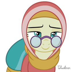 Size: 994x994 | Tagged: safe, artist:tehwatever, character:desert flower, species:earth pony, species:pony, episode:on the road to friendship, background pony, bedroom eyes, female, glasses, hijab, lidded eyes, mare, simple background, solo, somnambula resident, transparent background, vector