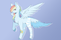 Size: 2048x1352 | Tagged: safe, artist:sora-choi, character:rainbow dash, species:pegasus, species:pony, g5 leak, bracelet, dappled, female, gradient background, jewelry, looking at you, mare, missing cutie mark, rainbow dash (g5), raised hoof, redesign, solo, spread wings, tail feathers, wings
