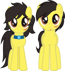 Size: 4378x4777 | Tagged: safe, artist:cakonde, oc, oc:artpen, oc:penny-pen, species:earth pony, species:pony, 2019 community collab, derpibooru community collaboration, absurd resolution, female, jewelry, looking at you, male, mare, messy mane, necklace, simple background, smiling, smiling at you, stallion, standing, transparent background