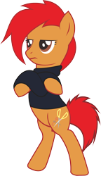 Size: 2856x4960 | Tagged: safe, artist:cakonde, oc, oc:needle thread, species:earth pony, species:pony, 2019 community collab, derpibooru community collaboration, bipedal, bottomless, clothing, crossed hooves, female, mare, partial nudity, simple background, solo, standing, sweater, transparent background