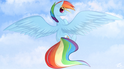 Size: 9000x5000 | Tagged: safe, artist:those kids in the corner, character:rainbow dash, species:pegasus, species:pony, absurd resolution, cloud, female, flying, happy, looking at you, looking back, looking back at you, mare, profile, sky, smiling, solo, speedpaint, spread wings, wallpaper, wings