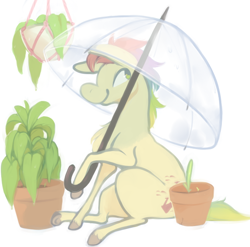 Size: 640x633 | Tagged: safe, artist:bananasmores, g1, female, plant, rainbow ponies, solo, trickles, umbrella