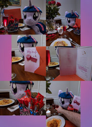 Size: 1818x2500 | Tagged: safe, artist:plushwaifus, photographer:corpulentbrony, character:twilight sparkle, character:twilight sparkle (alicorn), species:alicorn, species:pony, episode:hearts and hooves day, g4, my little pony: friendship is magic, big kat, candle, candy, card, champagne, chocolate, collage, disembodied arm, disembodied hand, female, flower, food, forever alone, greeting card, hand, holiday, irl, kit kat, meme, pasta, photo, plushie, present, spaghetti, toasting, valentine's day, waifu dinner, wife