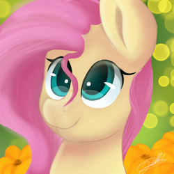 Size: 2048x2048 | Tagged: safe, artist:sweetkllrvane, character:fluttershy, species:pony, bust, cute, female, flower, looking up, mare, portrait, shyabetes, smiling, solo, stray strand, three quarter view