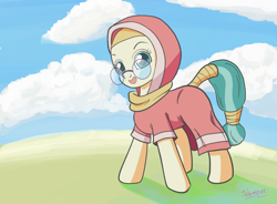 Size: 1900x1400 | Tagged: safe, artist:tehwatever, character:desert flower, species:earth pony, species:pony, background pony, clip studio paint, clothing, cloud, digital art, female, glasses, headscarf, hijab, hood, mare, meganekko, scarf, shadow, signature, skullcap, sky, smiling, solo, somnambula resident, tail wrap